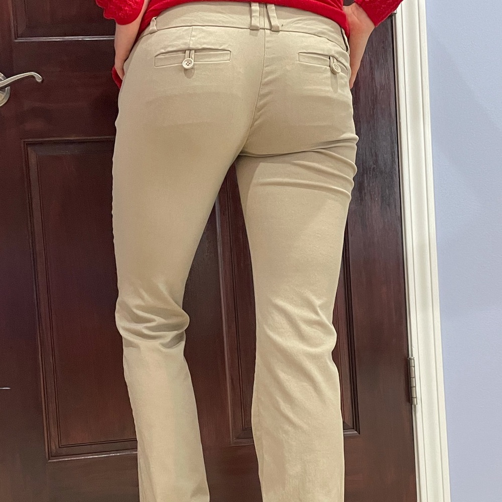 Limited petite business pants